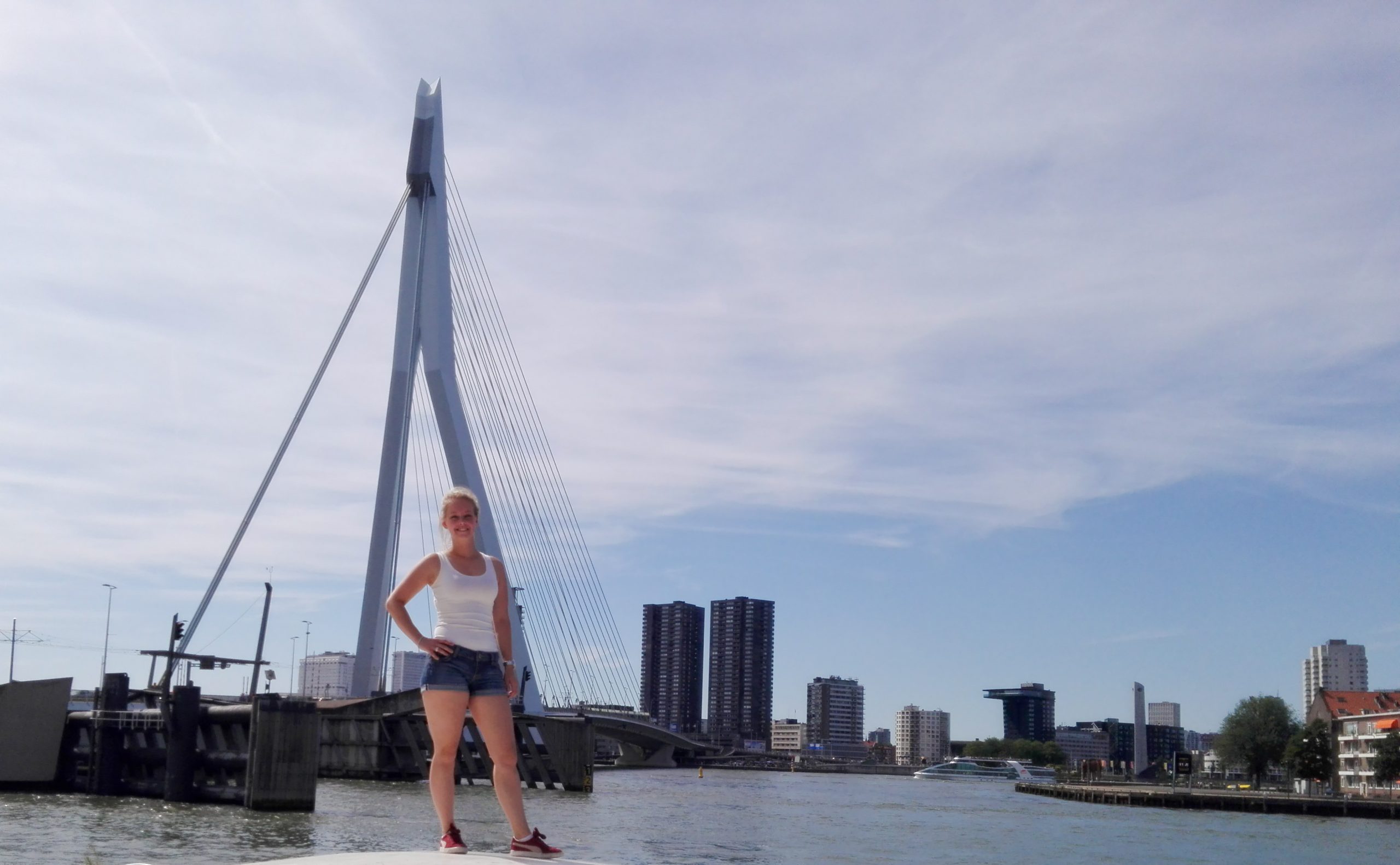 Wat te doen Rotterdam, Erasmusbrug