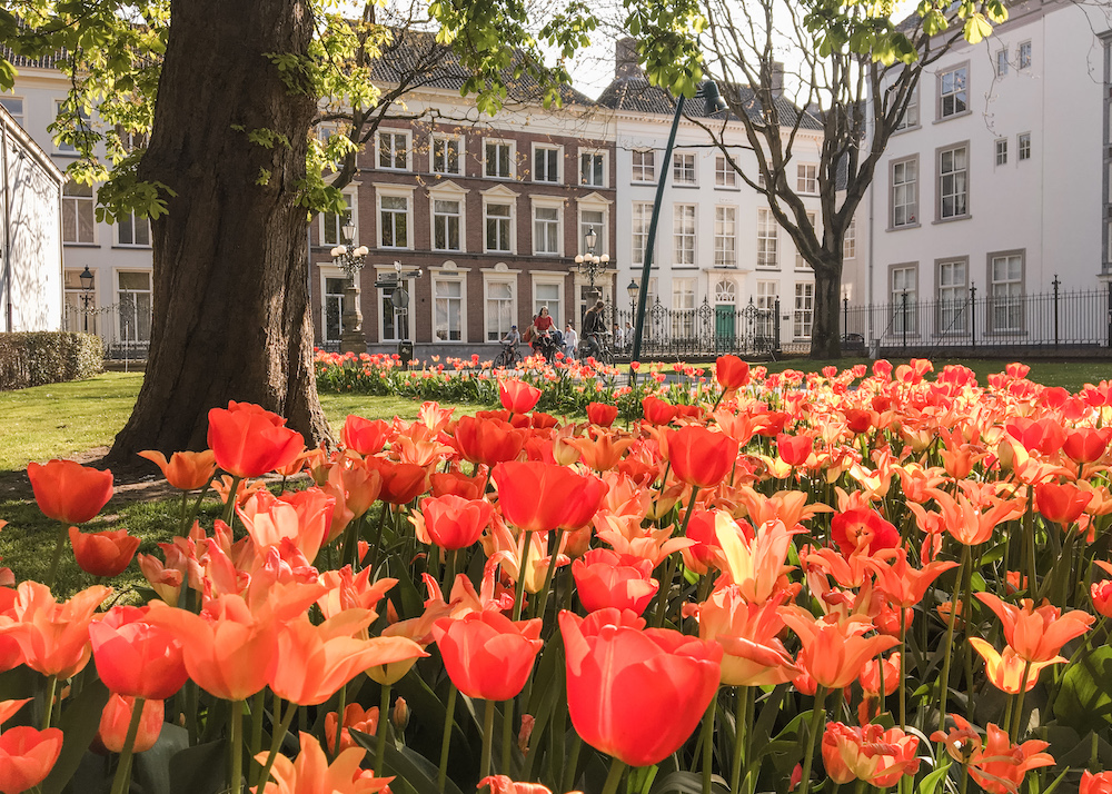 Wat te doen in Breda Valkenberg park
