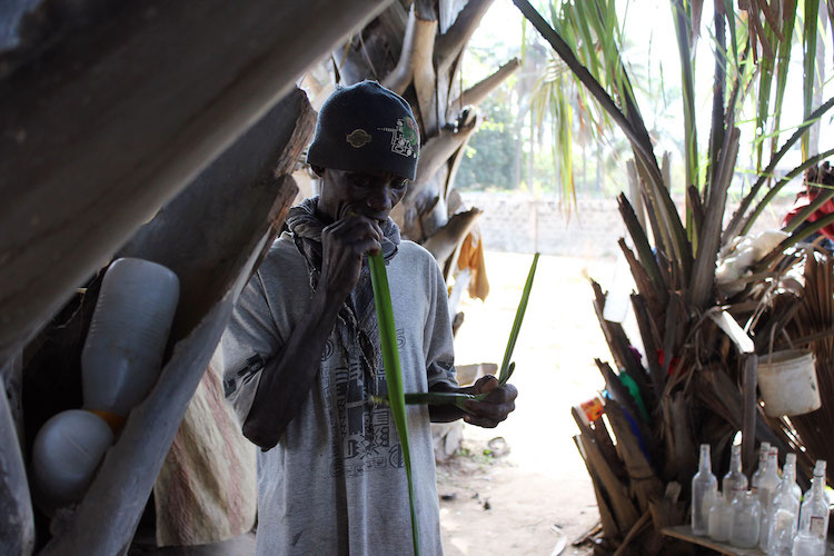 Wat te doen in Gambia Palmwijn