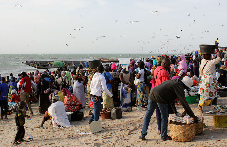 Wat te doen in Gambia Tanji-Fishing-Village-1