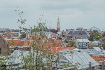 Wat te doen in Haarlem