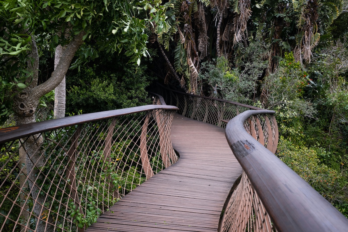 botanische tuinen Kirstenbosch Kaapstad