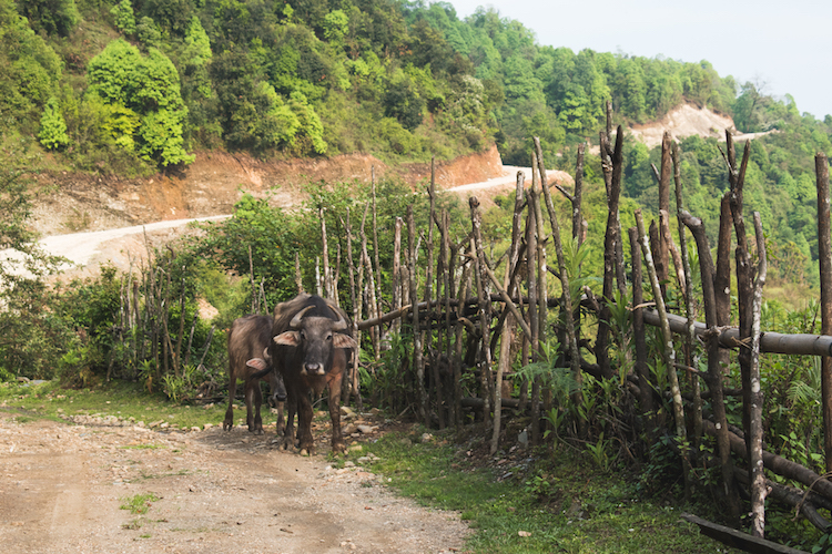 Wat te doen in Pokhara ondereweg hike nepal