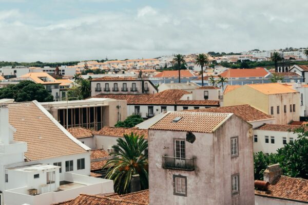 A sunlit Mediterranean town with white buildings and orange tile roofs, palm trees scattered among the rooftops.