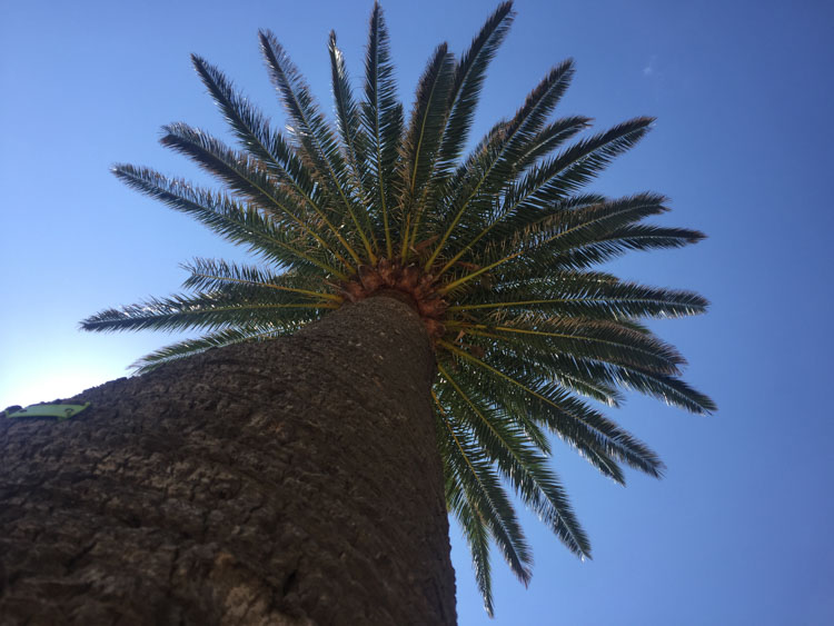 Wat te doen in nice strandhoppen-2