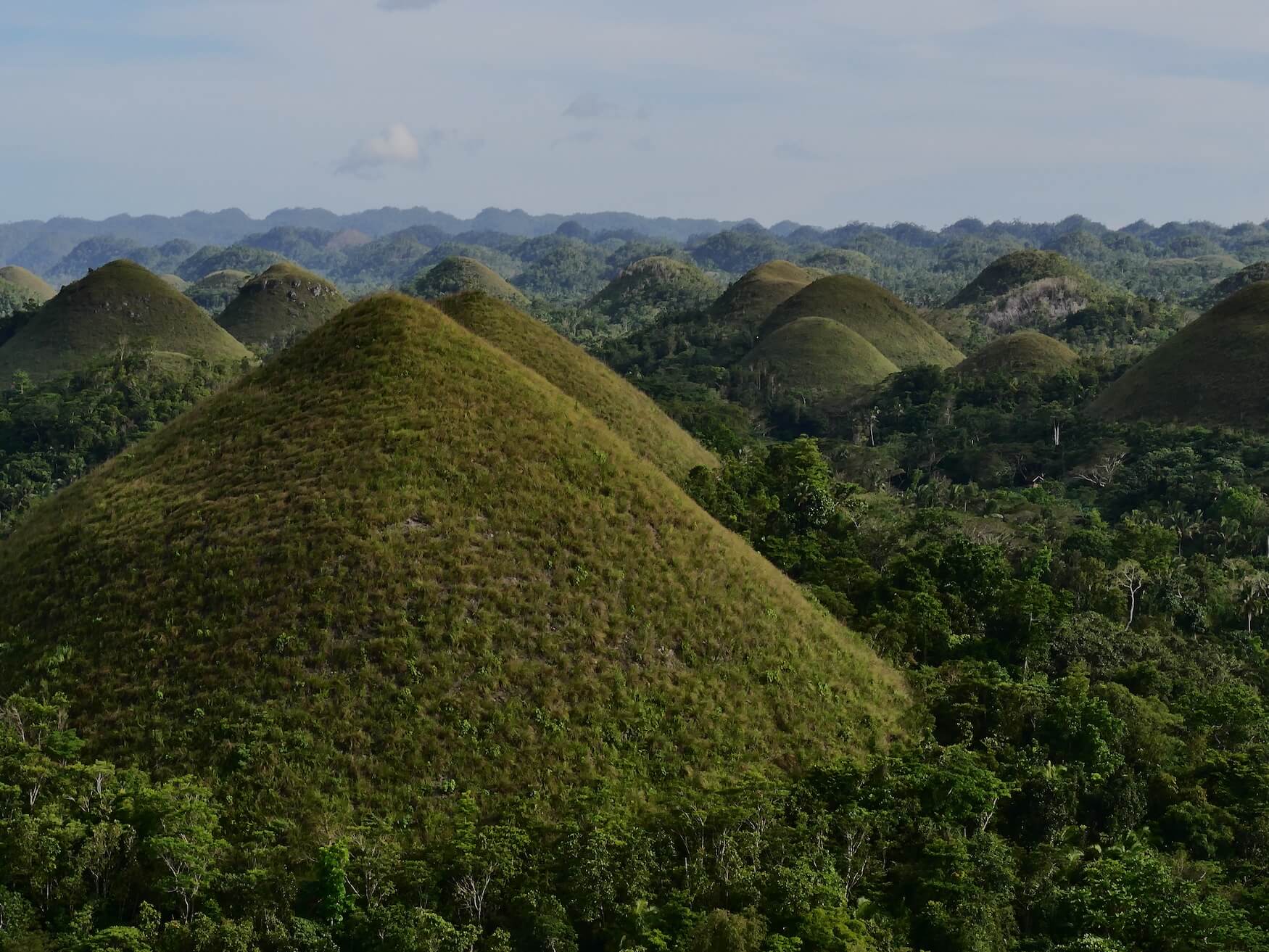 Wat te doen op Cebu, uitstapje Chocolate Hills