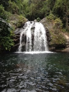 Waterfall Fishdone Jamaica Sandra