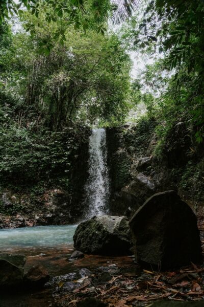 Waterval Daintree Rainforest