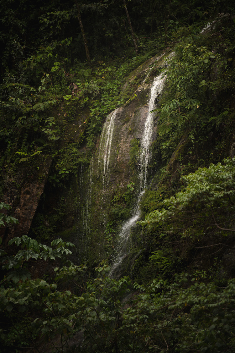 Waterval in Manu Jungle Peru