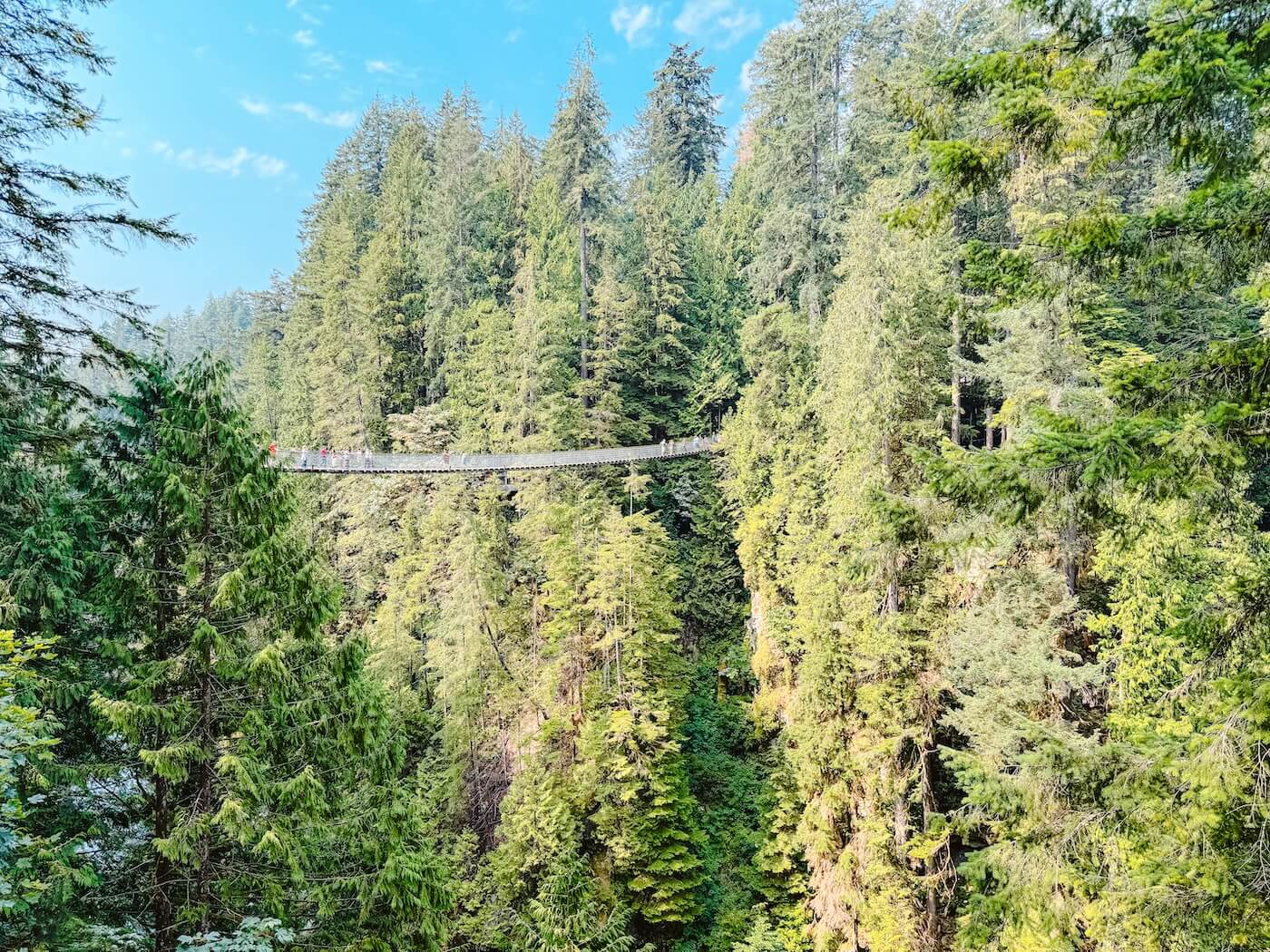West-Canada camperreis, Capilano Suspention Bridge