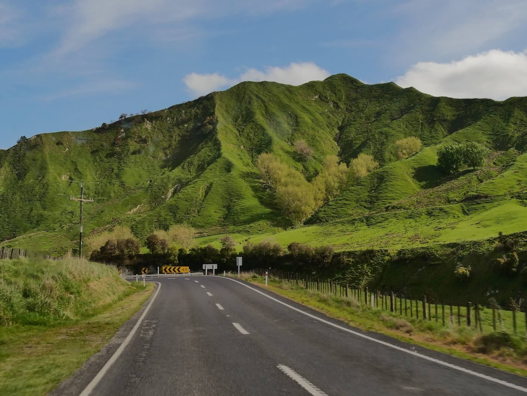 Whanganui National Park groene bergen