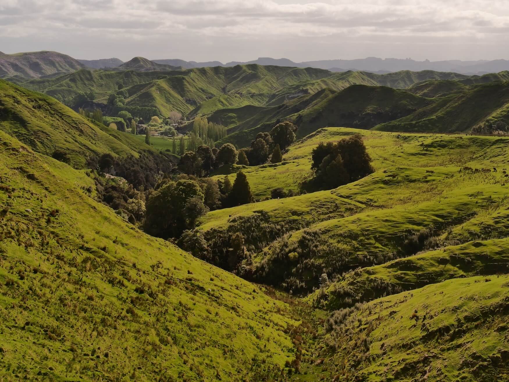 Whanganui National Park landschap