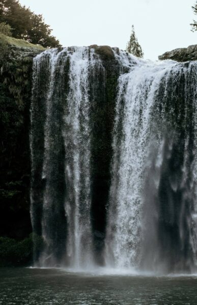 Whangārei Falls NZ