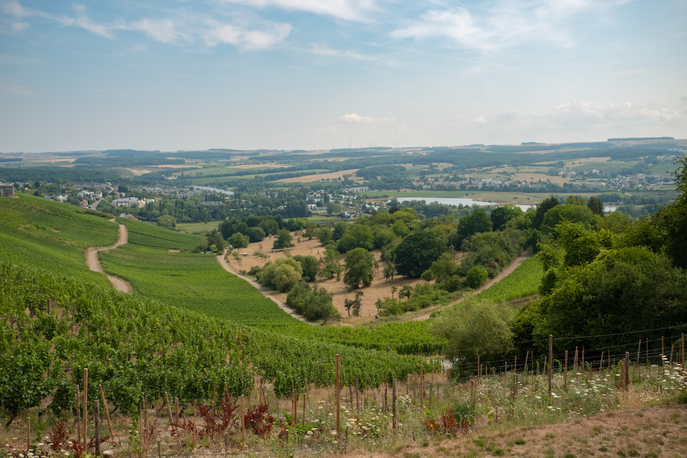 Wijnproeven benoit in Luxemburg