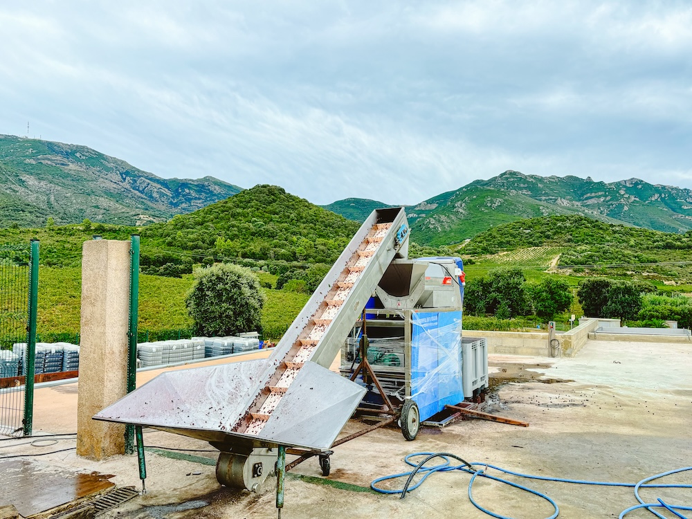 Wijnproeverij doen Corsica