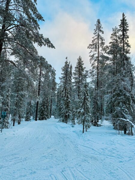 Winterlandschap Lapland