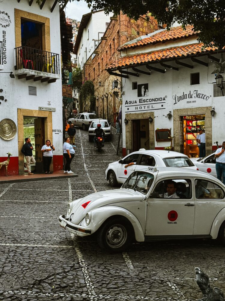 Witte Beetles