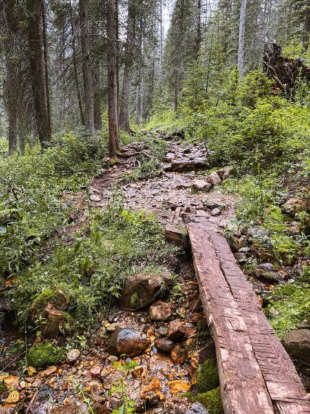 Yoho Hike Trails