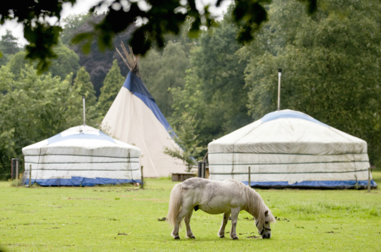 Yurt huren Nederland