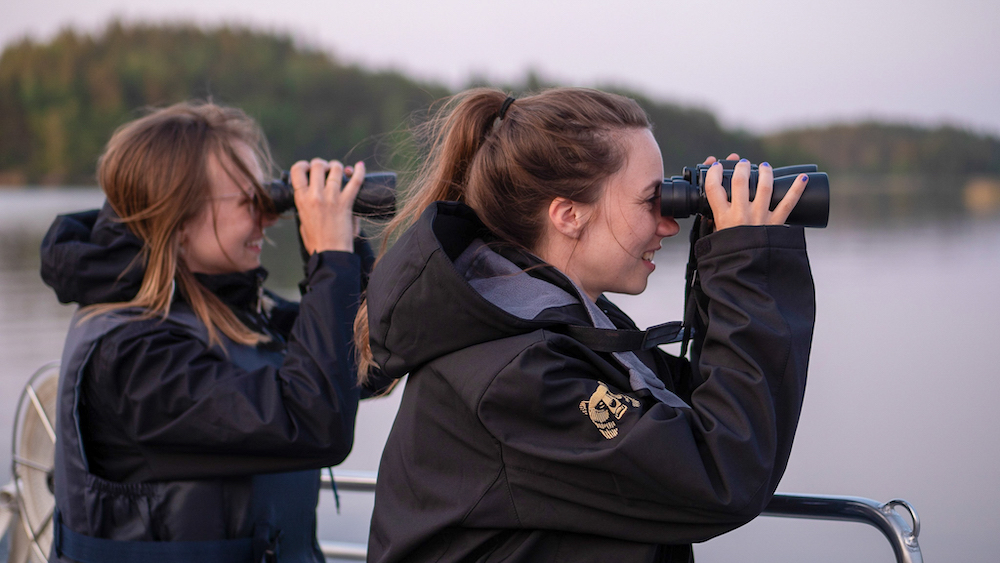 Zeehonden spotten