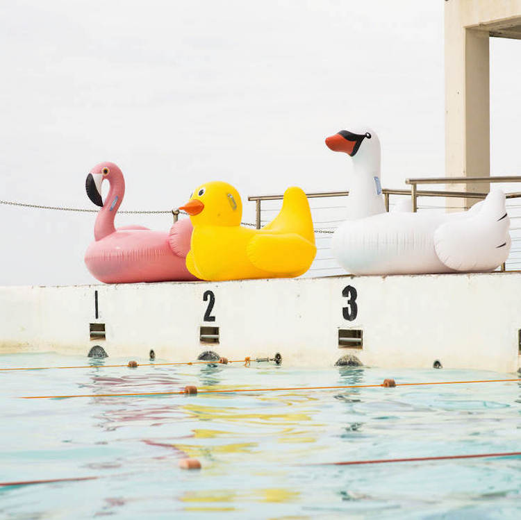 Zwembad speelgoed opblaasbare zwaan eend flamingo