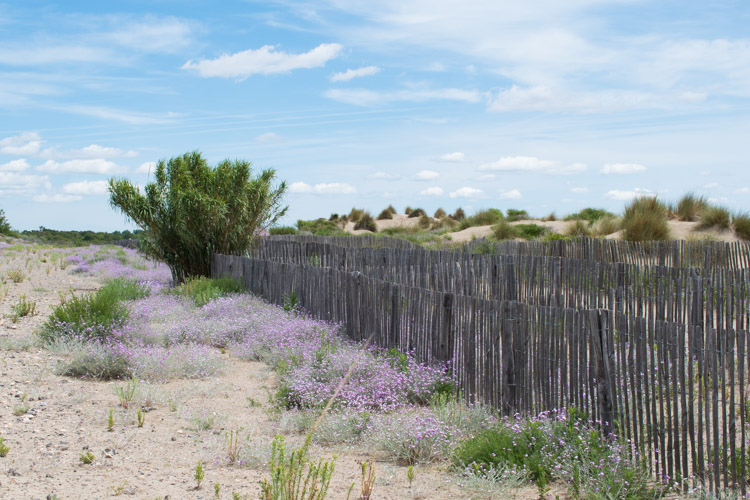 aigues mortes frankrijk strand