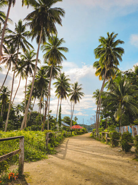 aldejus op raja ampat-2