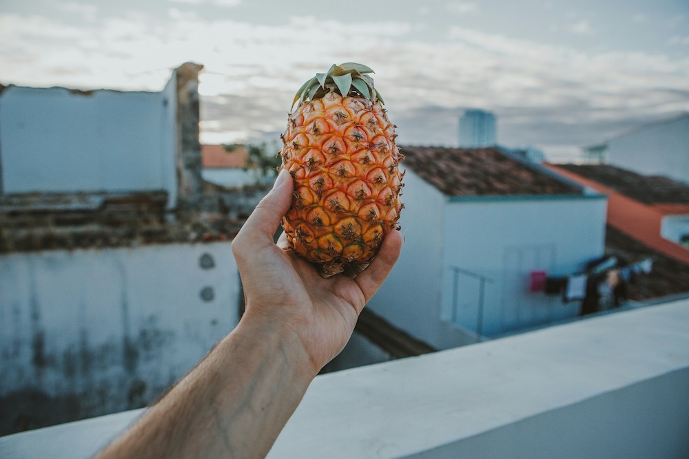 ananas sao miguel azoren