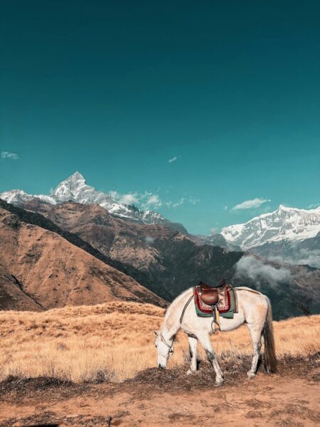 annapurna trek in nepal