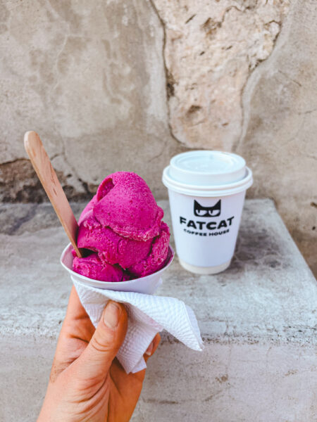 Person holding a white cone with bright pink sorbet and a napkin, with a FatCat Coffee House cup in the background.