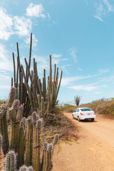 auto huren curacao tips-2