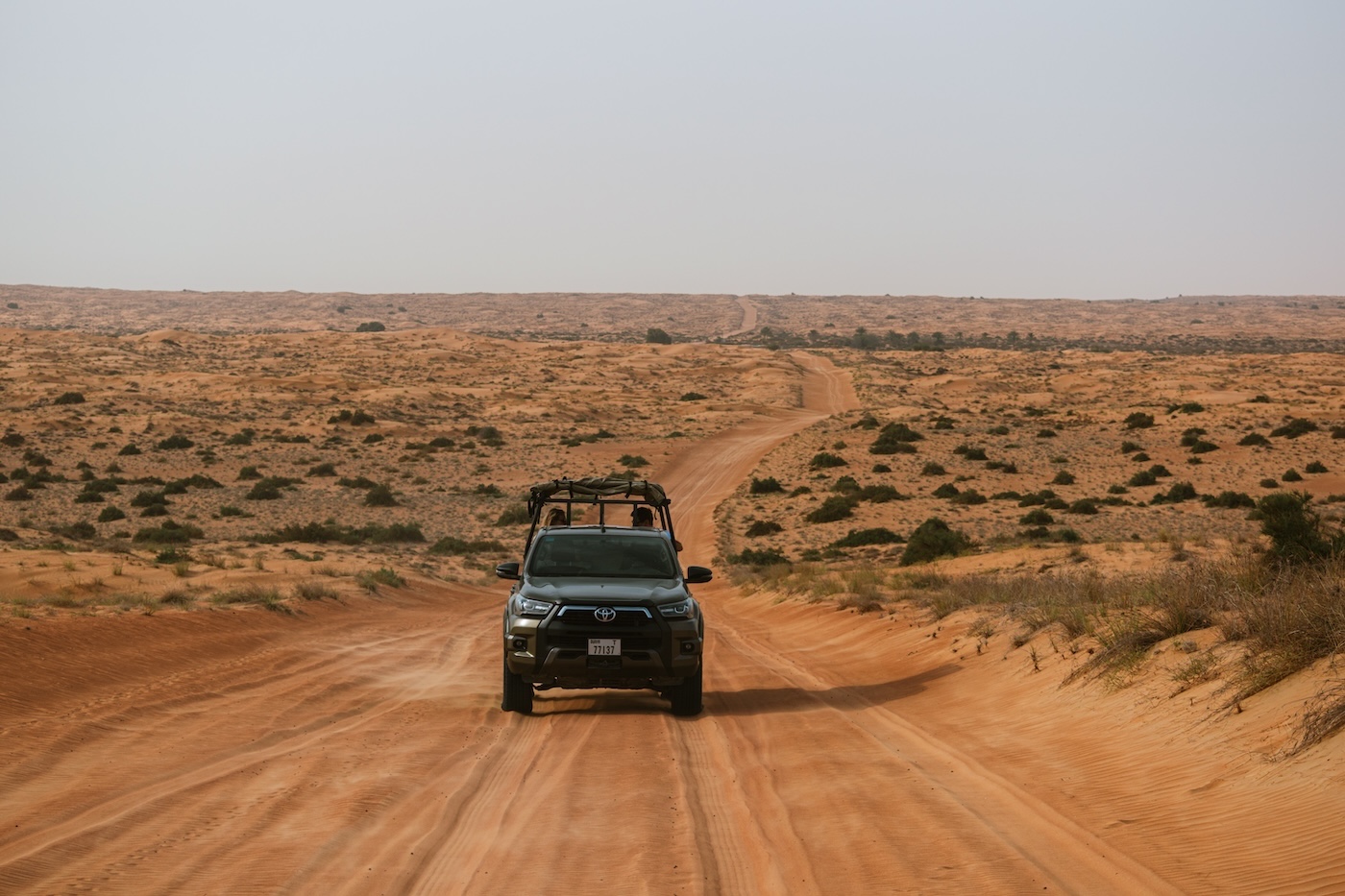 auto in Dubai Desert Conservation Reserve