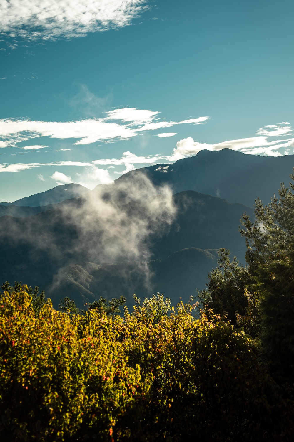 bergen in Alishan, Taiwan