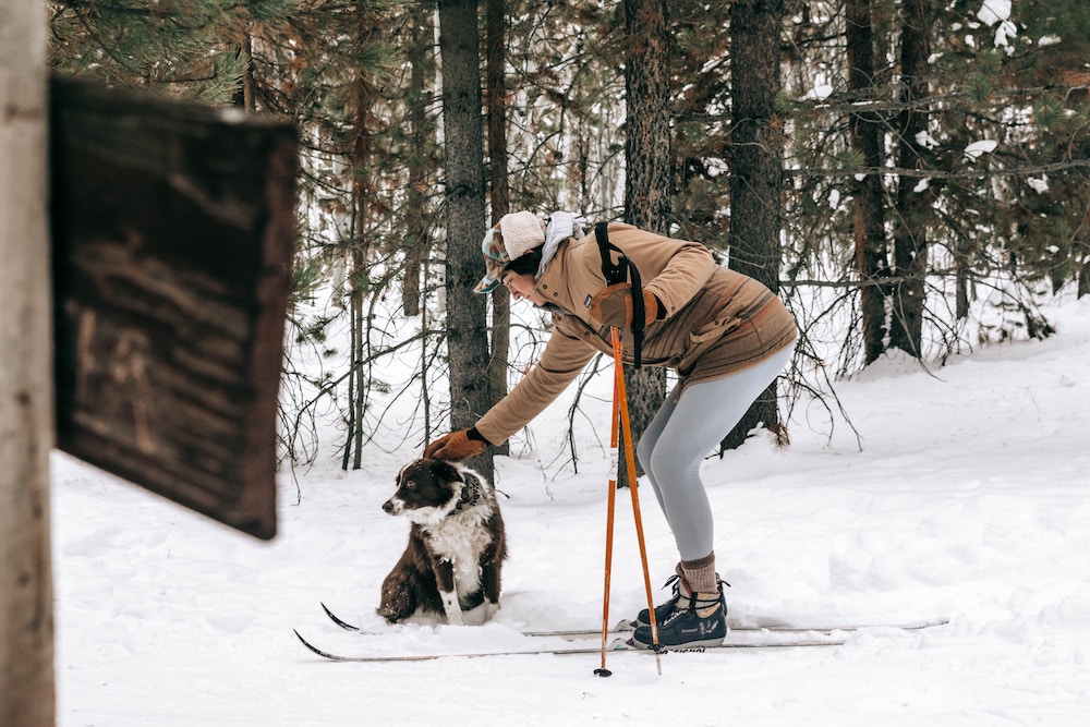 beste skigebieden voor beginners