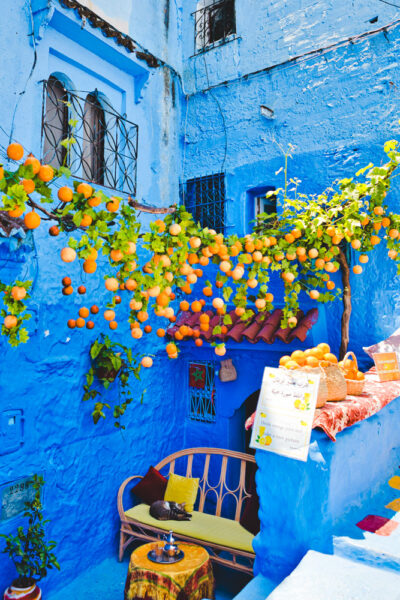 blauwe stad marokko chefchaouen medina