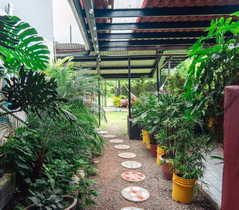 bodhi el valle