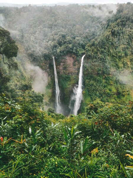 Twin waterfalls plummeting from a mossy cliff into a misty tropical gorge, surrounded by lush jungle and foreground plants.