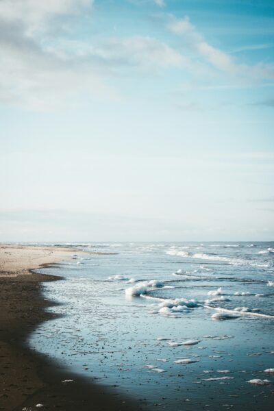 branding texel