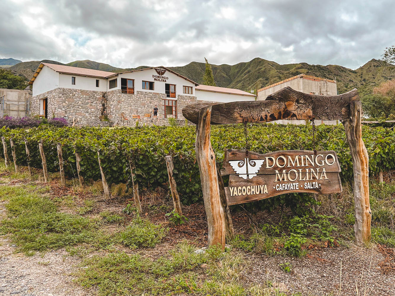 cafayate salta