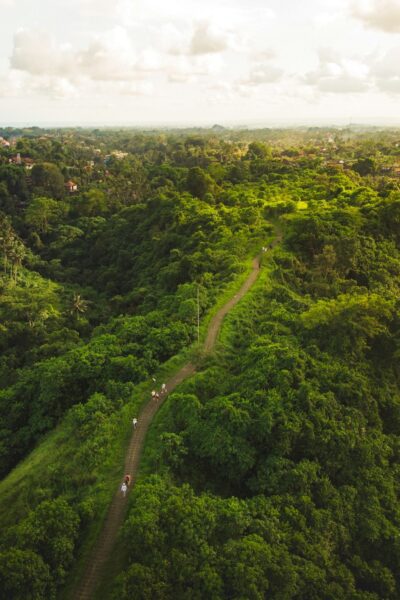 campuhan ridge walk ubud