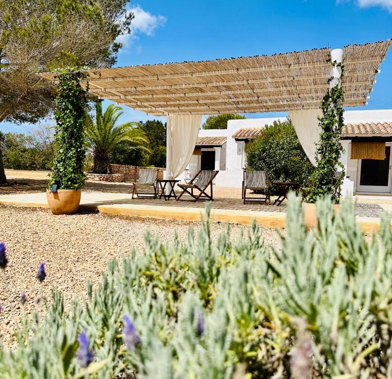 can chumbera formentera hotel