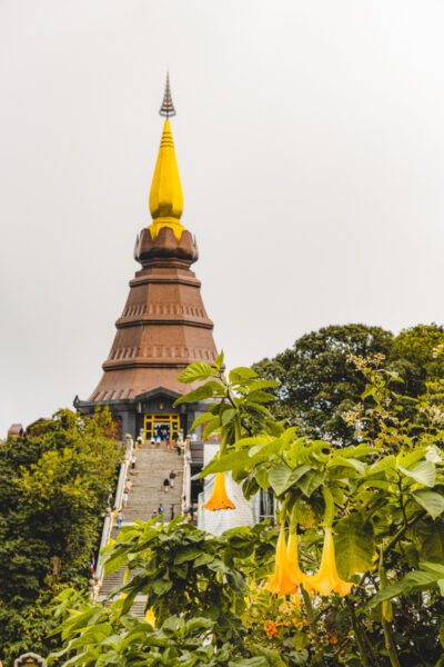 chiang mai Doi Inthanon National Park-2