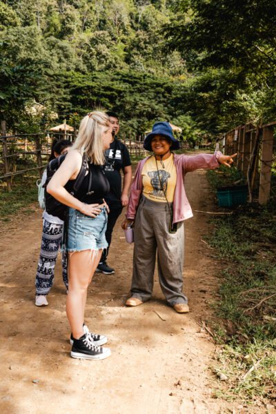 chiang mai olifanten