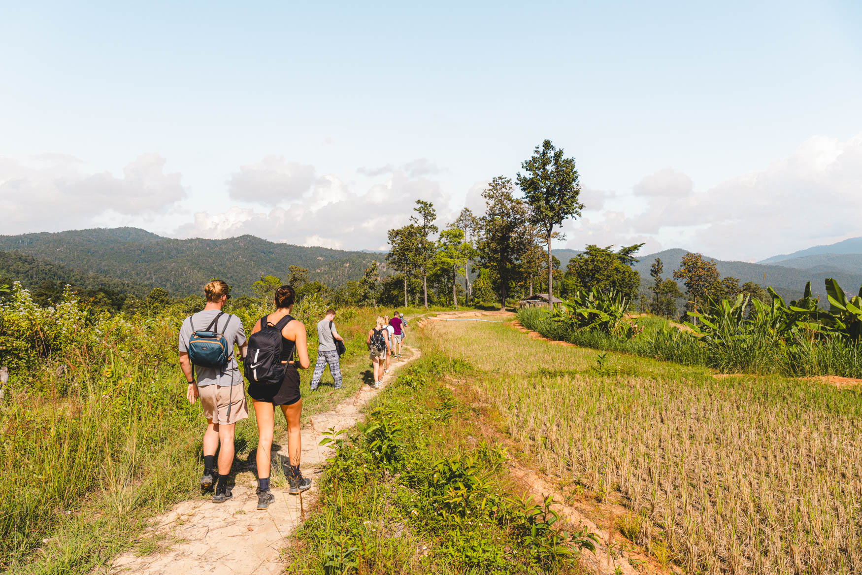 chiang mai thailand jungle
