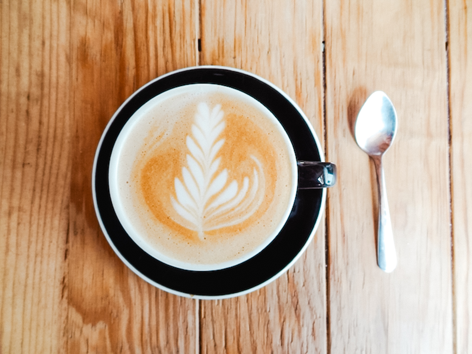 chiapan coffee san cristobal mexico