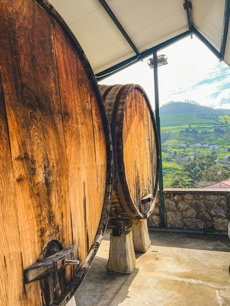 cider makerij Casa Trabanco