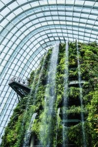 cloud forest singapore waterval