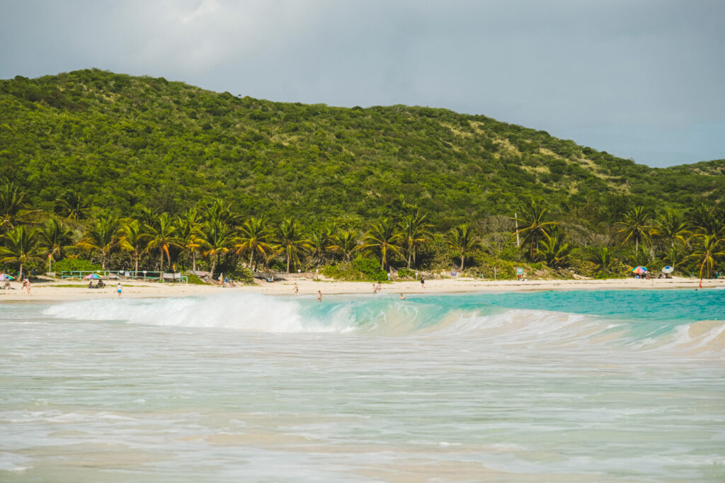 culebra puerto rico