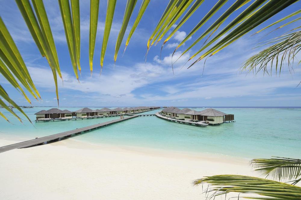 de malediven paradise island resort