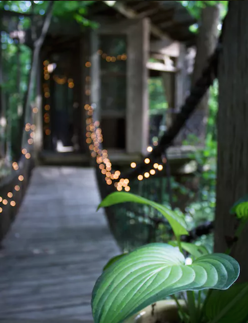 detail boomhut op airbnb